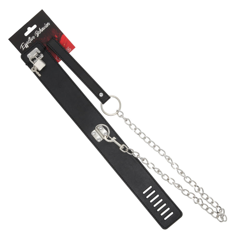 COLLAR W/LOCK AND LEASH