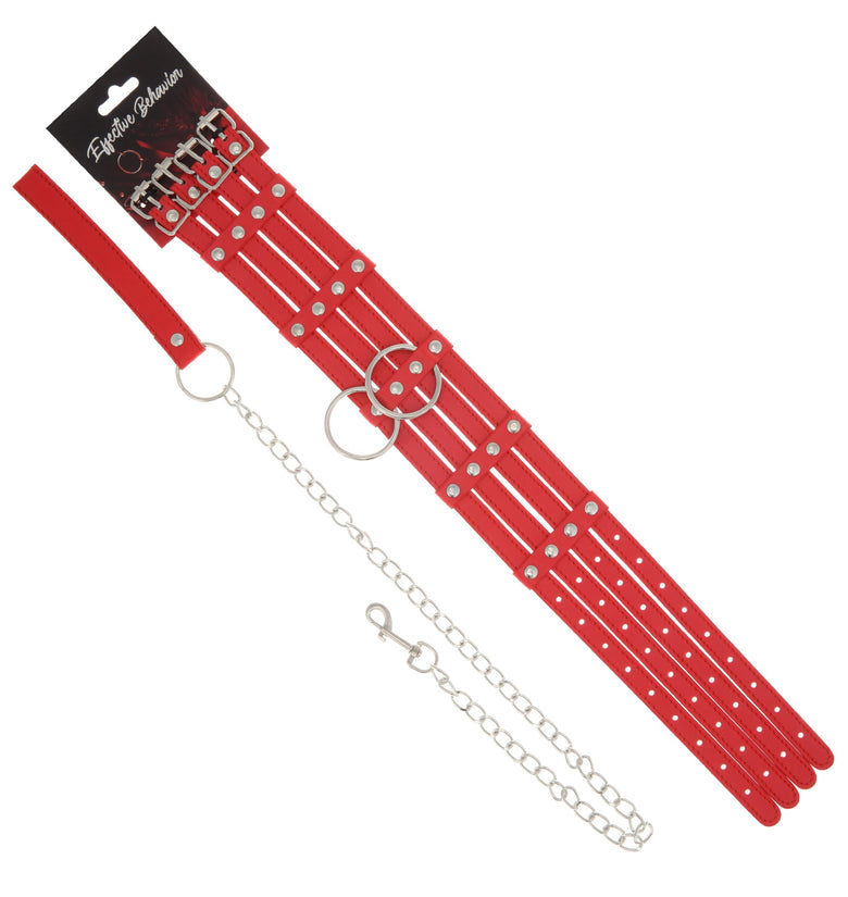 COLLAR RED PVC FENCE STACKED W/LEASH