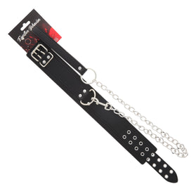 COLLAR BLACK PVC DOUBLE BUCKLE W/LEASH