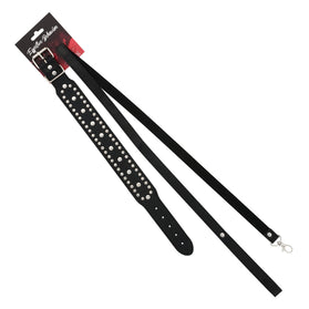 COLLAR BLACK W/CIRCLE RIVETS W/LEASH