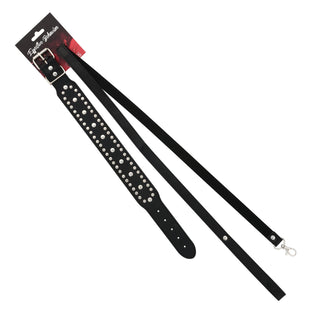 COLLAR BLACK W/CIRCLE RIVETS W/LEASH